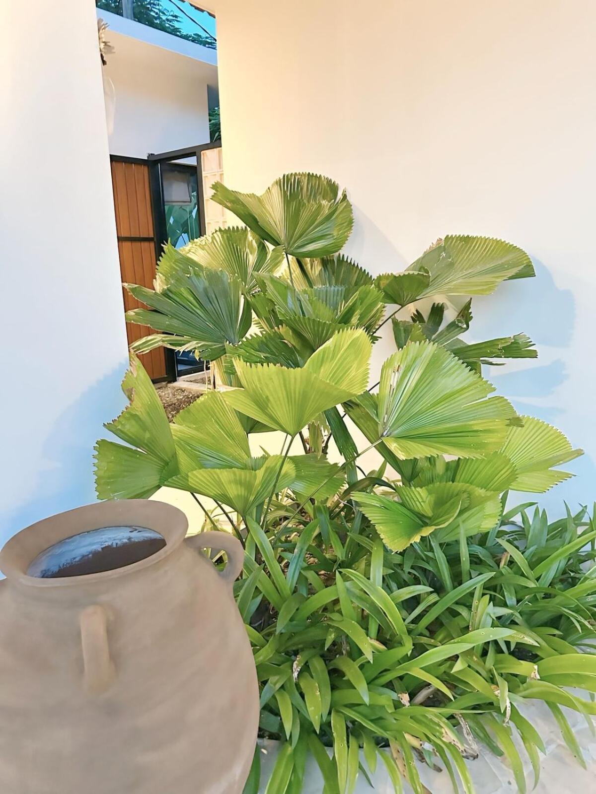 Amerta Villa Seminyak 외부 사진